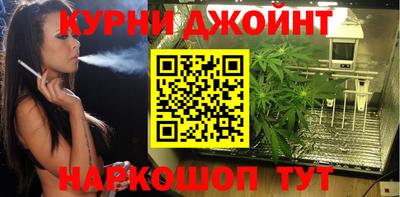 PSILOCYBIN Кингисепп