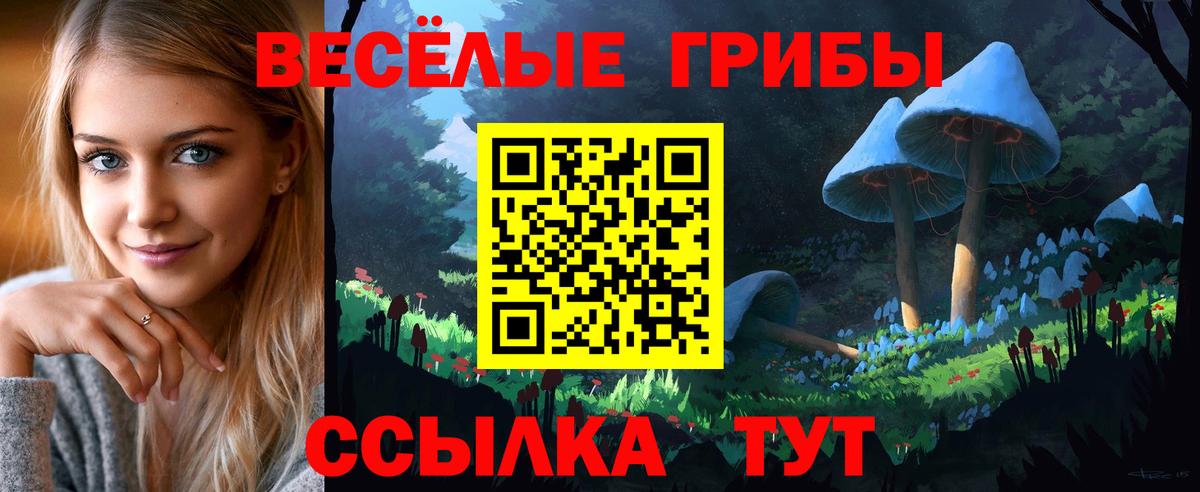 Галлюциногенные грибы GOLDEN TEACHER Кубинка